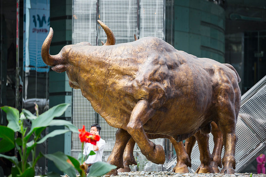 stier