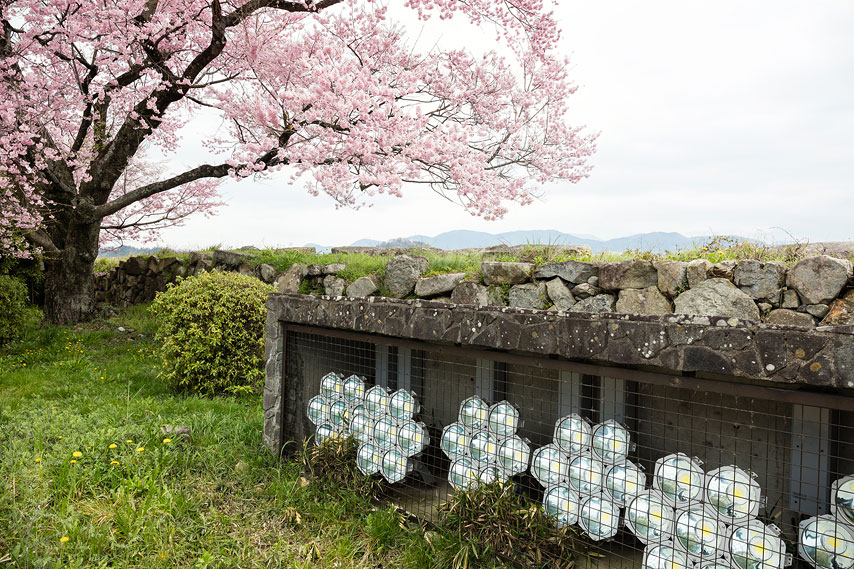 hikone castle