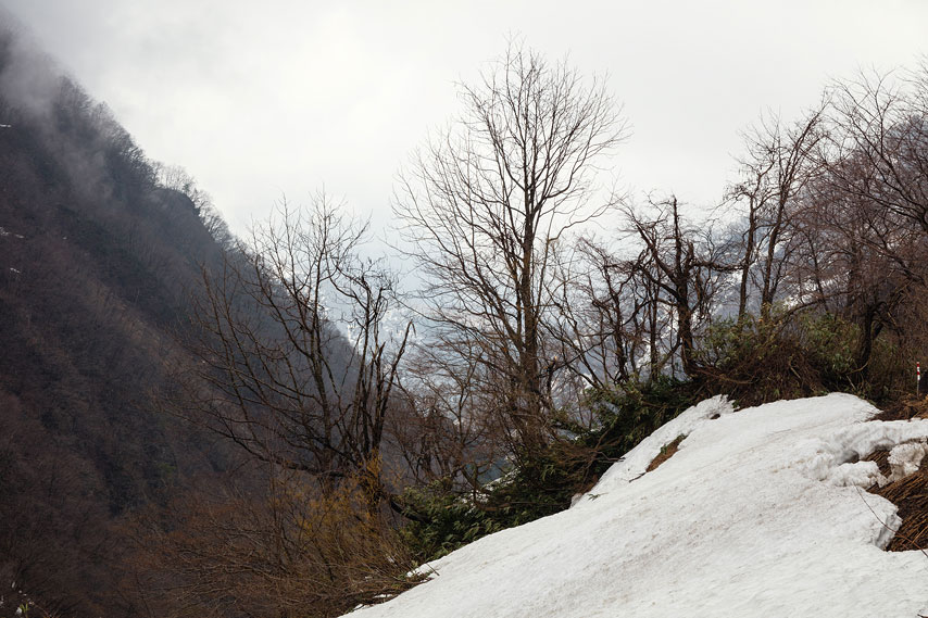 japanese alps