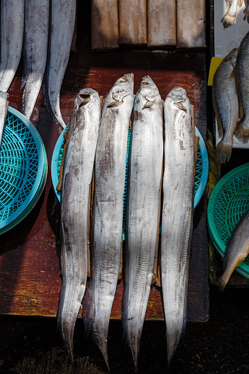 fish market