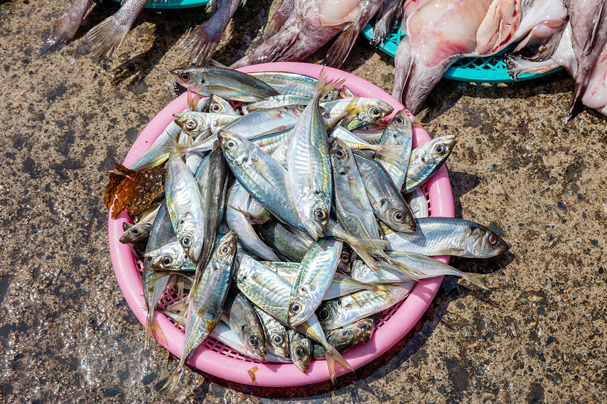 fish market