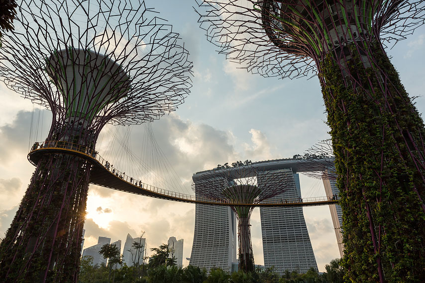 gardens by the bay