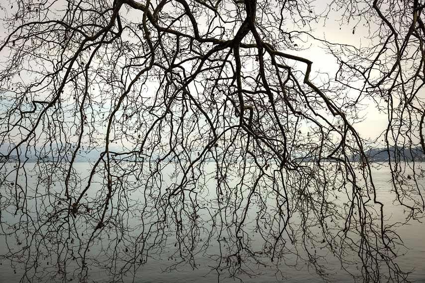 richterswil