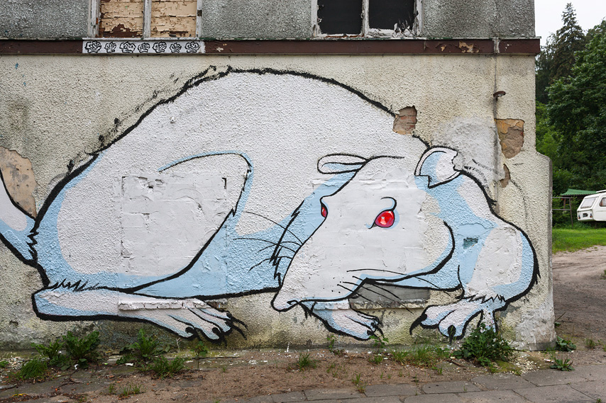 ratte