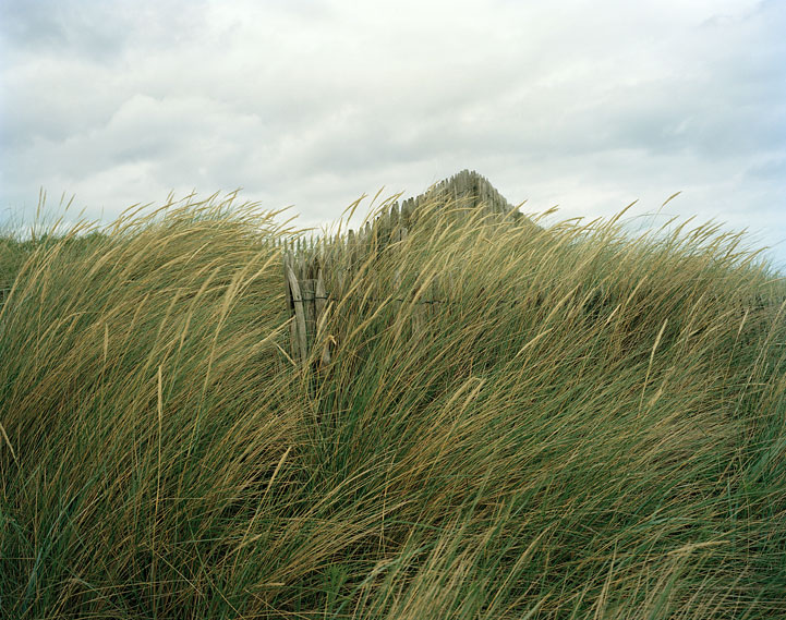 juno beach