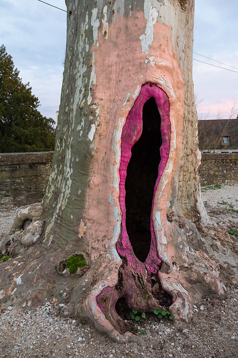 baum