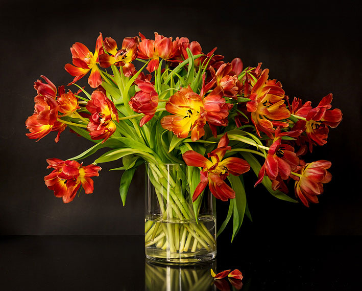 tulpen