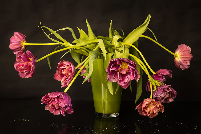 tulpen