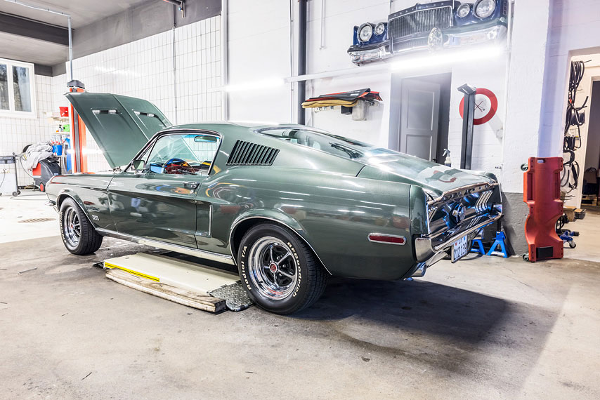 mustang