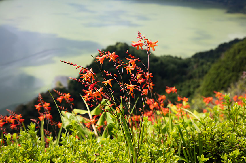 sao miguel