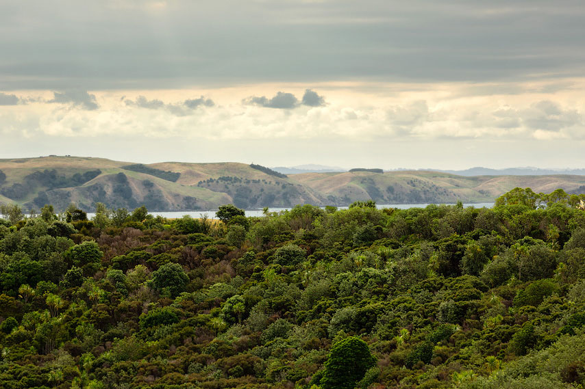 waiheke island