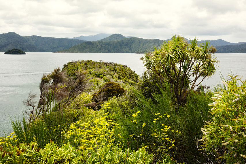 karaka point