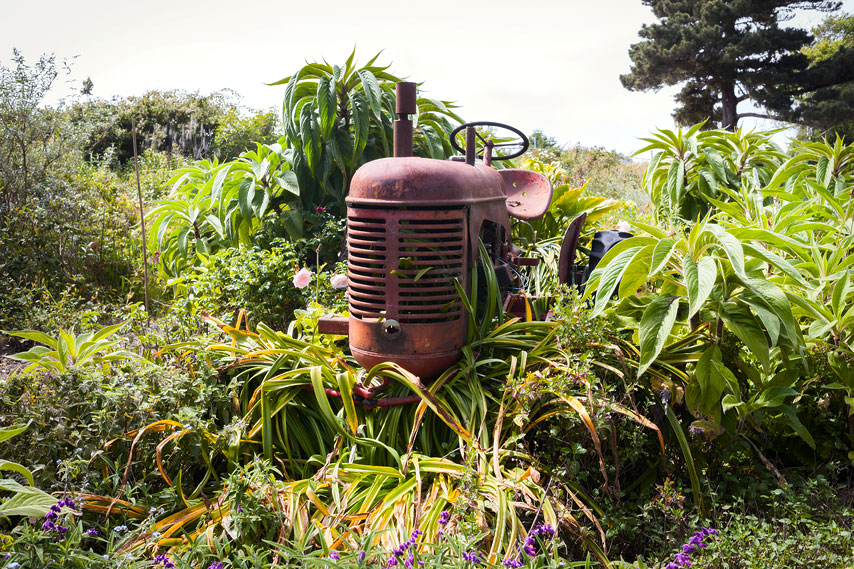 mendocino