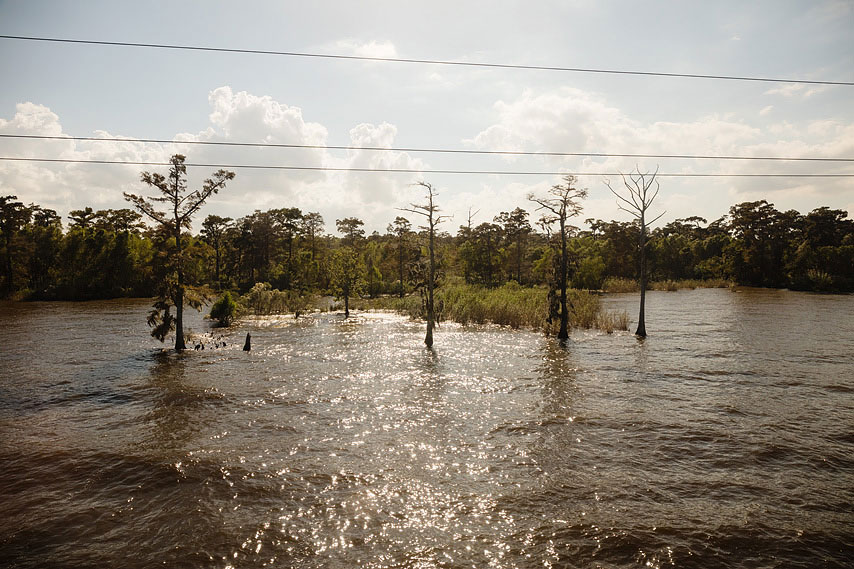 swamp