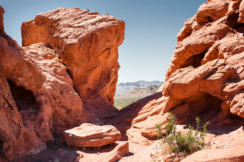 red rocks