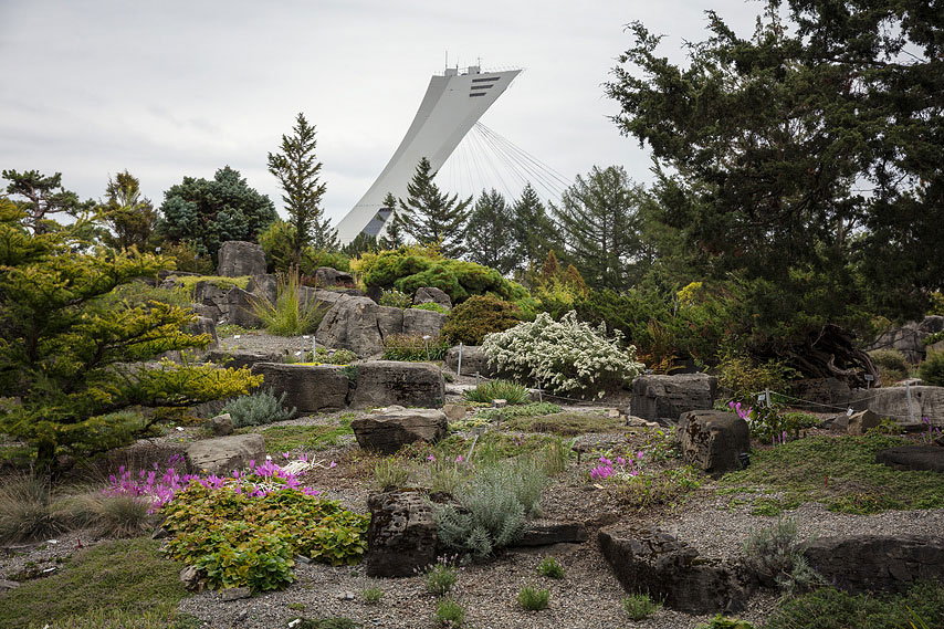botanischer garten