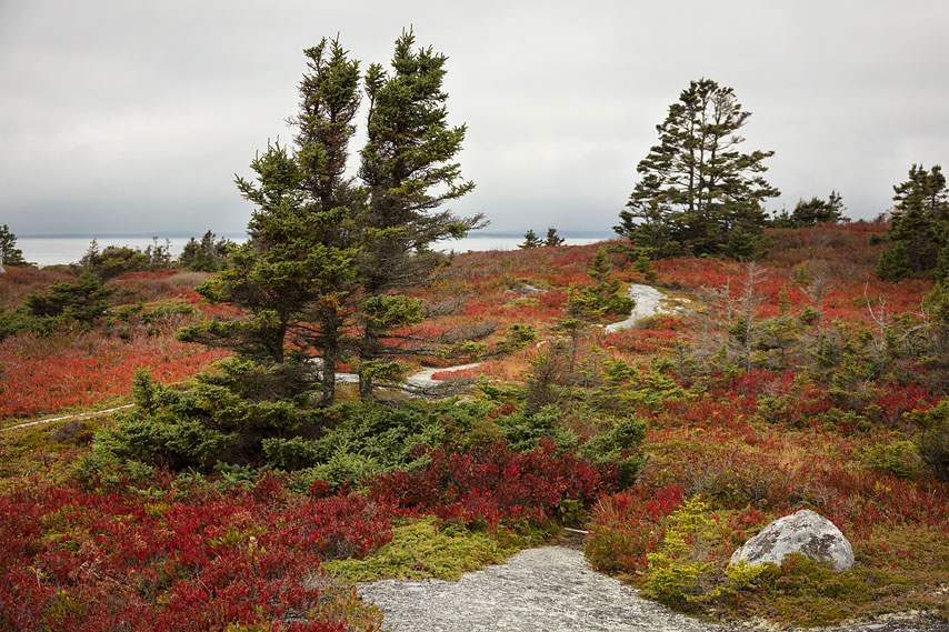 peggy's cove