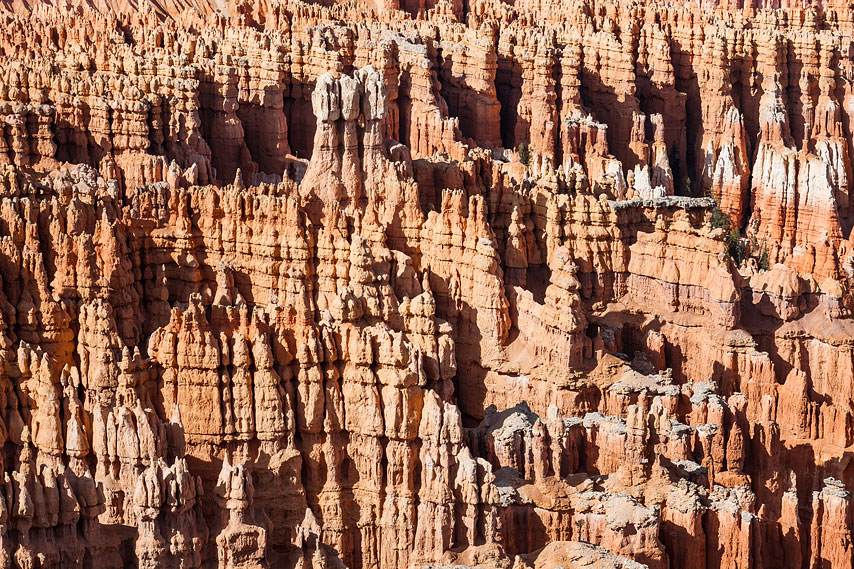 bryce canon