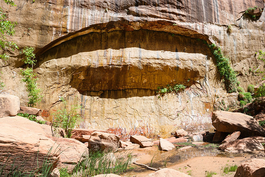 zion national park