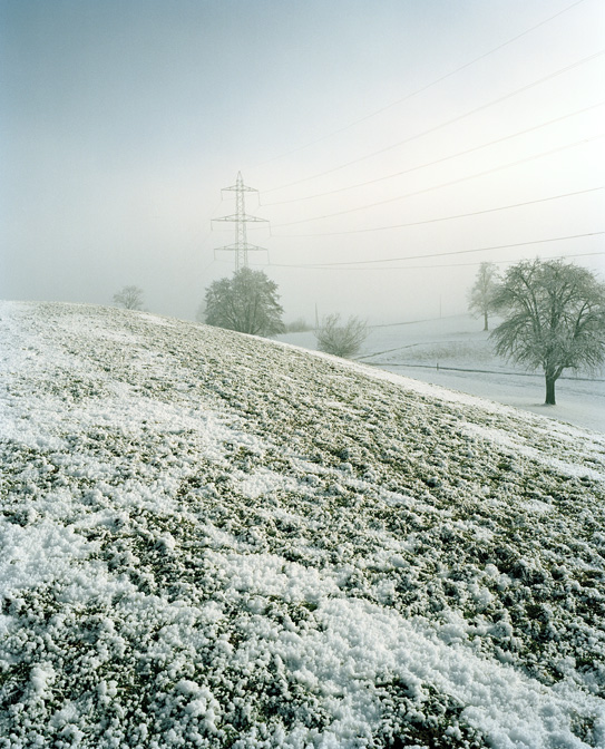 frost