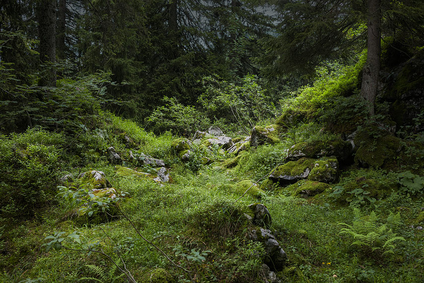 ibergeregg