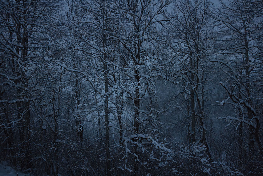 darums