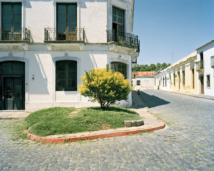 colonia